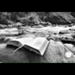 Meet your Posher, M.j.